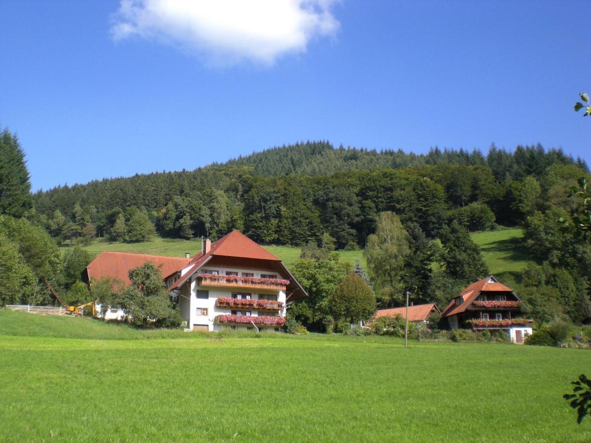 Geigerbauernhof Apartment Muehlenbach Luaran gambar