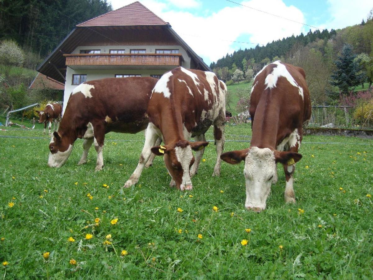Geigerbauernhof Apartment Muehlenbach Luaran gambar