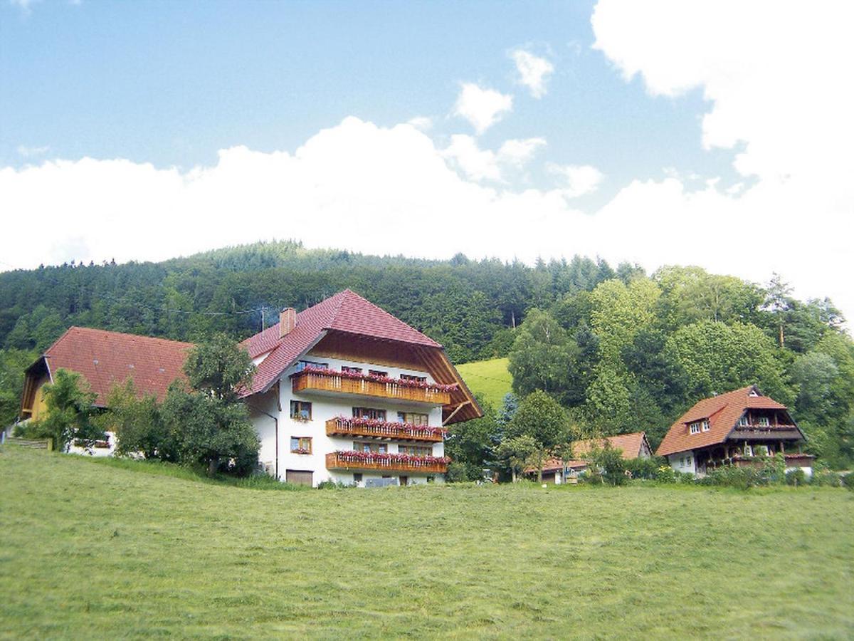 Geigerbauernhof Apartment Muehlenbach Luaran gambar