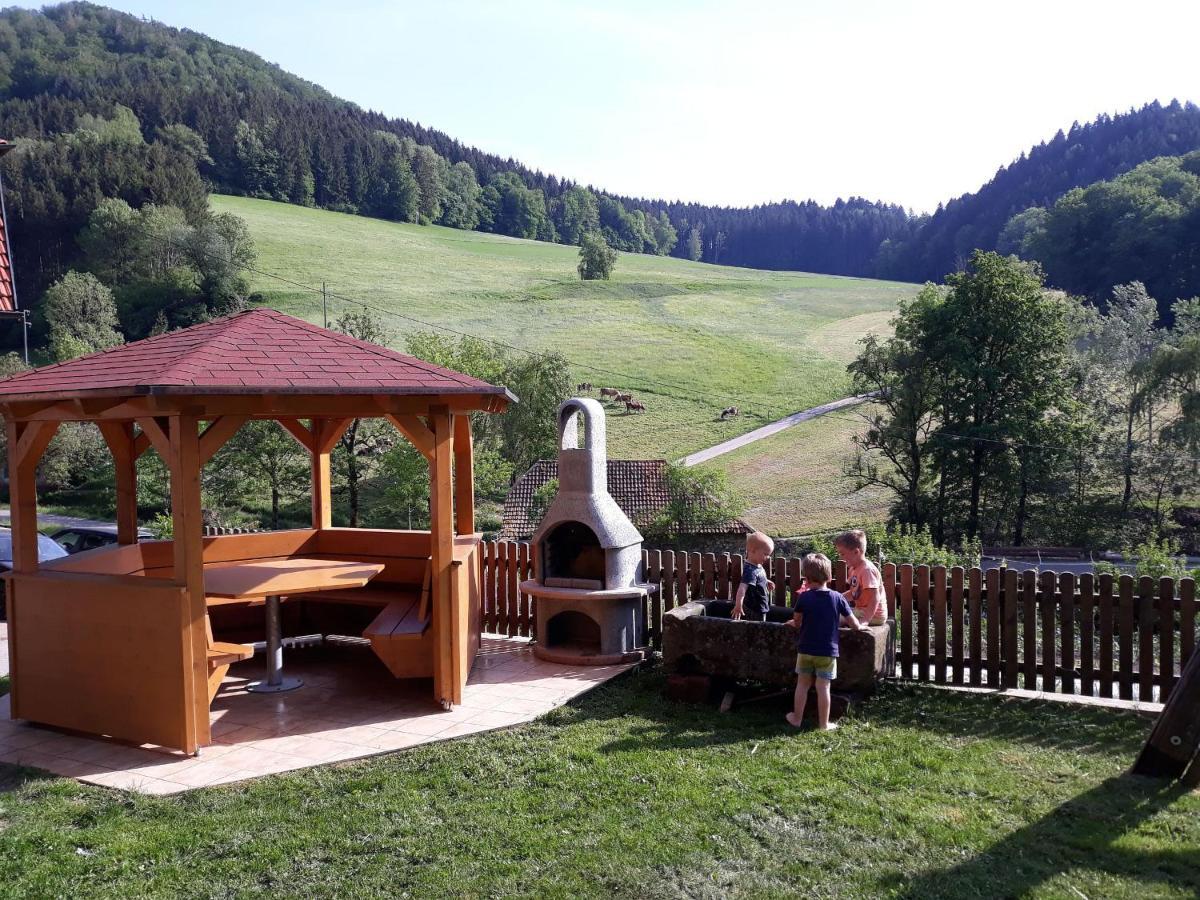 Geigerbauernhof Apartment Muehlenbach Luaran gambar
