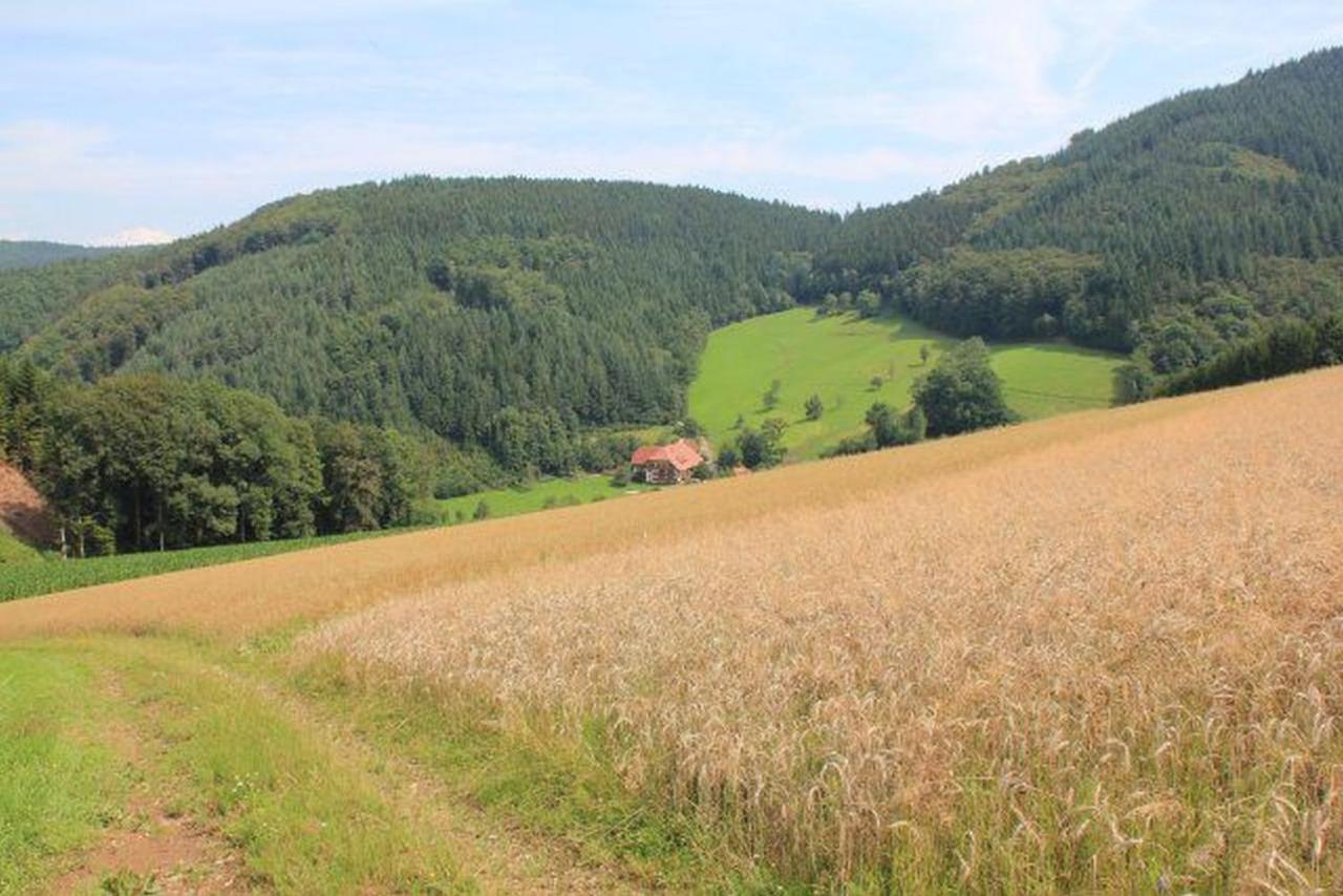 Geigerbauernhof Apartment Muehlenbach Luaran gambar